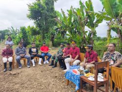Babinsa Koramil 1801-01/Manokwari Bersama Pegawai Lapas Perempuan III Tanam Jagung Di Lahan Pertanian