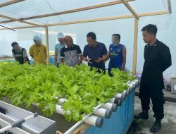Tinjau Program Hidroponik WBP, Rutan Palu Sebut Tanaman Sayur Siap di Panen dan Dipasarkan