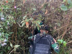 Pos Gabma Long Midang Satgas Yonzipur 8/SMG Sikat 72 Botol Miras Ilegal di Perbatasan RI-Malaysia