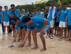 RIOT Palu Rayakan Ulang Tahun Ke-7 Dengan Aksi Nyata, Lepas Puluhan Tukik di Laut Donggala