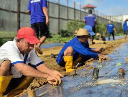 Dukung Ketahanan Pangan, Lapas Banjarbaru Tanam 500 Bibit Melon di Lahan SAE