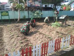 Personel Koramil 18/Kajuara Rutin Lakukan Perawatan Kebun Ketahanan Pangan