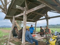 Babinsa Koramil 15/Mare Komsos Dengan Petani Jagung Di Desa Binaan