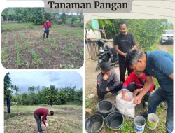 Kabapas Palu Pimpin Jajaran Pupuk Tanaman Pangan