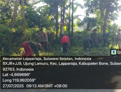 Babinsa Koramil 1407-09/Lapri Bersama Warga Desa Ujung Lamuru Gelar Gotong Royong Bersihkan Jalan Poros Lapri-Soppeng