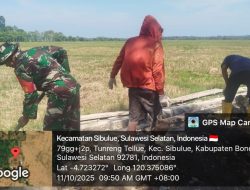 Babinsa Koramil 13/Sibulue Kodim 1407/Bone Bantu Warga Dalam Pembangunan Saluran Air Irigasi Persawahan