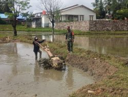 Babinsa Koramil 1407-17/Salomekko Turut Membantu Petani Mengolah Lahan Persawahan Di Kelurahan Pancaitana