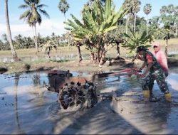 Perkuat Ketahanan Pangan, Babinsa Koramil 1407-01/Ajangale Dampingi Warga Olah Sawah