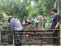 Babinsa Koramil 1407-09/Lapri Bersama Warga Gotong Royong Bangun Talud Jalan Tani