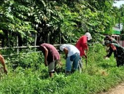 Wujudkan Lingkungan Asri, Babinsa Koramil 1407-01/Ajangale Dan Warga Manciri Kompak Bersihkan Badan Jalan