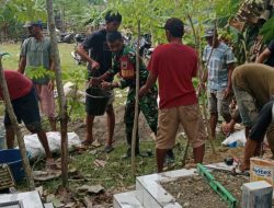 Sinergi Babinsa Koramil 1407-17/Salomekko Dan Warga Manera Dalam Perawatan Tempat Pemakaman Umum