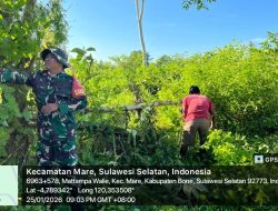 Babinsa Koramil 15/Mare Kodim Bone Gelar Kerja Bakti Bersihkan Ranting Pohon Di Desa Mattampa Walie