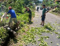 Tingkatkan Kenyamanan Pengguna Jalan, Babinsa Koramil 06/Awangpone Bersihkan Jalur Utama Desa