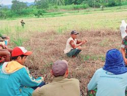 Duduk Sama Rendah : Momen Hangat Babinsa Koramil 1407-19/Kahu Kodim Bone Bareng Petani Yang Sedang Istirahat