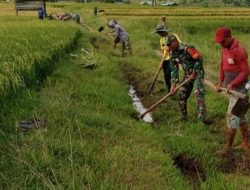 Pastikan Pasokan Air Sawah Aman, Babinsa Koramil 1407-17/Salomekko Kodim Bone Turun Tangan Benahi Drainase Desa