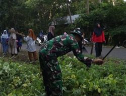 Babinsa Koramil 1407-06/Awangpone Kodim Bone Terjun Langsung Dalam Karya Bakti Di Desa Kading