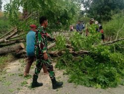 Bahu-Membahu, Babinsa Koramil 1407-18/Kajuara Dan Warga Waetuo Kompak Bersihkan Puing Pohon Tumbang