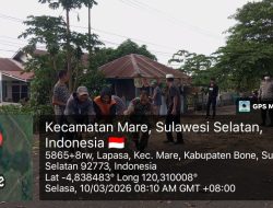 Utamakan Keselamatan Warga, Babinsa Koramil 1407-15/Mare Gotong Royong Tebang Pohon Rawan
