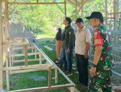 Babinsa Koramil 12/Cina Kodim 1407/Bone Kawal Proyek Ayam Petelur BUMDes : Langkah Mandiri Desa Kanco