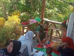 Babinsa Koramil 1407-13/Sibulue Dampingi Kegiatan Posyandu di Wilayah