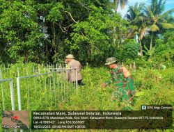 Babinsa Koramil 15/Mare Kodim 1407/Bone Bergerak : Hidupkan Budaya Gotong Royong Di Desa Mattampa Walie