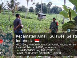 Babinsa Koramil 05/Ulaweng Kodim 1407/Bone Pantau Langsung Ketahanan Wilayah Di Desa Mattaropurae