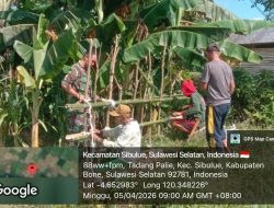 Babinsa Tadang Palie Koramil 1407-13/Sibulue Hadir Di Tengah Masyarakat, Bantu Pembuatan Pagar Kebun Warga