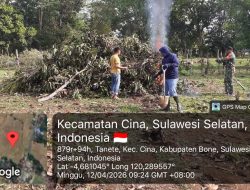 Langkah Awal Swasembada : Babinsa Koramil 12/Cina Kodim 1407/Bone Dampingi Warga Siapkan Lahan Jagung