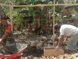 Semangat Gotong Royong Desa Waekecce’e : Babinsa Koramil 1407-09/Lapri Dan Warga Kompak Bangun Rumah Layak