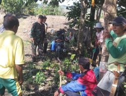 Babinsa Kodim Bone Koramil 1407-08/Lamuru Laksanakan Komsos Bersama Petani Di Desa Barakkae