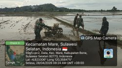 Genjot Ketahanan Pangan, Babinsa Koramil 15/Mare Kodim 1407/Bone Dampingi Petani Olah Lahan Dengan Traktor Modern