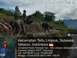 Pastikan Produksi Padi Meningkat, Babinsa Koramil 08/Lamuru Dampingi Proses Tanam