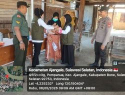 Perang Melawan Stunting! Babinsa Koramil 01/Ajangale Kawal Program Posyandu Di Pompanua