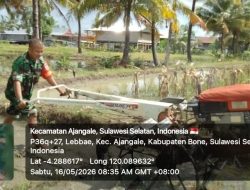 Babinsa Koramil 1407-01/Ajangale Bantu Warga Membajak Sawah Di Desa Lebbae