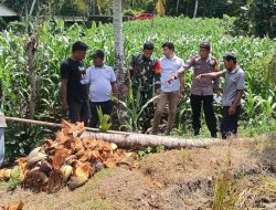 Lewat Pendekatan Persuasif, Babinsa Tellusiatinge Kodim 1407/Bone Dan Tripides Selesaikan Sengketa Lahan Warga