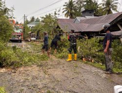 Respons Tanggap Koramil 1407-04/Tellusiatinge Pulihkan Akses Jalan Warga Yang Tertutup Pohon