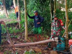 Babinsa Koramil Barebbo Koramil 1407/Bone Kawal Swasembada Pangan Lewat Dialog Hangat Bersama Petani
