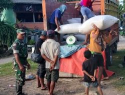 Babinsa Koramil Bontocani Kodim 1407/Bone Dampingi Proses Penimbangan Hasil Panen Padi Di Desa Pattuku