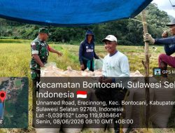 Dukung Swasembada Pangan, Babinsa Koramil 1407-20/Bontocani Dampingi Petani Desa Erecinnong Panen Padi