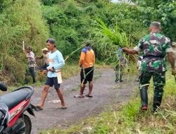 Pembersihan Badan Jalan Di Kelurahan Kahu, Aksi Nyata Babinsa Bontocani Kodim Bone Demi Kenyamanan Pengguna Jalan
