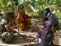 Bahu-Membahu Jaga Keindahan Desa, Babinsa Koramil 19/Kahu Kodim 1407/Bone Bantu Warga Pasaka Buat Pagar Rumah