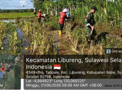 Antisipasi Sumbatan Air, Babinsa Koramil 1407-14/Libureng Gelar Karya Bakti Bersama Petani Desa Tappale