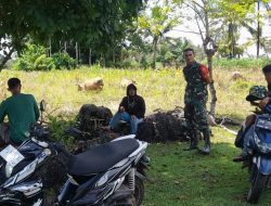 Komsos Babinsa Koramil 19/Kahu Kodim 1407/Bone, Wujudkan Kedekatan Dengan Masyarakat Desa Massila