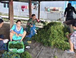Melalui Komsos, Babinsa Koramil 1407-11/Barebbo Dorong Semangat Dan Produktivitas Petani Rumput Laut