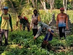 Babinsa Koramil 06/Awangpone Kodim 1407/Bone Kompak Dengan Warga Bersihkan Area Pemakaman Desa Carigading