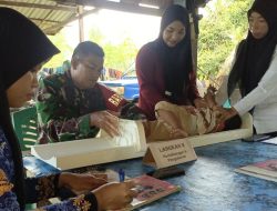 Babinsa Koramil 1407-07/Tanete Riattang Dampingi Kegiatan Pos Pelayanan Terpadu (Posyandu) Di Kelurahan Polewali