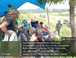 Beri Motivasi, Babinsa Koramil 1407-10/Ponre Komsos Dengan Petani Jagung