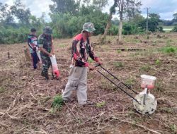 Babinsa Koramil 15/Mare Kodim 1407/Bone Bantu Petani Tanam Jagung, Dukung Ketahanan Pangan Di Desa Batu Gading