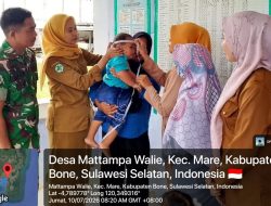Babinsa Koramil 1407-15/Mare Dampingi Kegiatan Posyandu, Dukung Peningkatan Kesehatan Ibu Dan Balita
