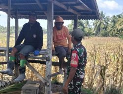 Babinsa Kodim Bone Koramil 1407-02/Dua Boccoe Bangun Komunikasi Bersama Petani Desa Watang Padacenga
